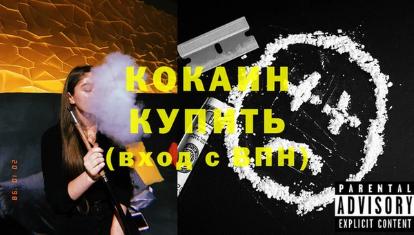 хмурый Инсар