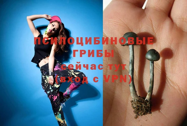 хмурый Инсар