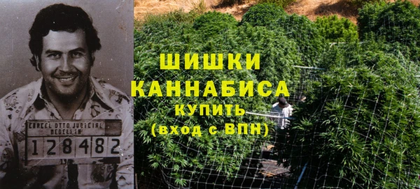 ECSTASY Иннополис