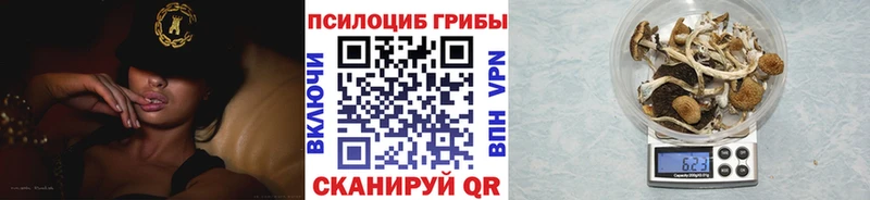 hydra сайт Чебоксары Псилоцибиновые грибы MAGIC MUSHROOMS продажа наркотиков
