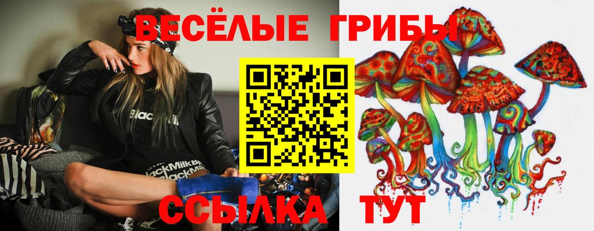 даркнет сайт  Галлюциногенные грибы MAGIC MUSHROOMS  Вход с VPN  Чебоксары 
